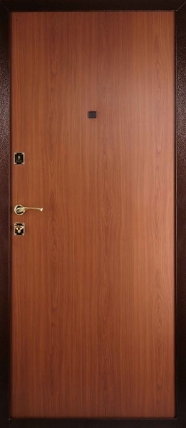 Дверь с порошковым напылением ZK-054