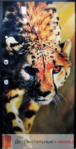 Фото двери с леопардом