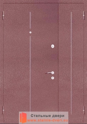 Порошковая дверь с рисунком PR-016