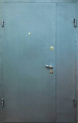 Тамбурная дверь DMP-007